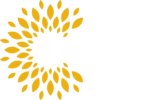 logo-scf-header-transp-whitetxt-500